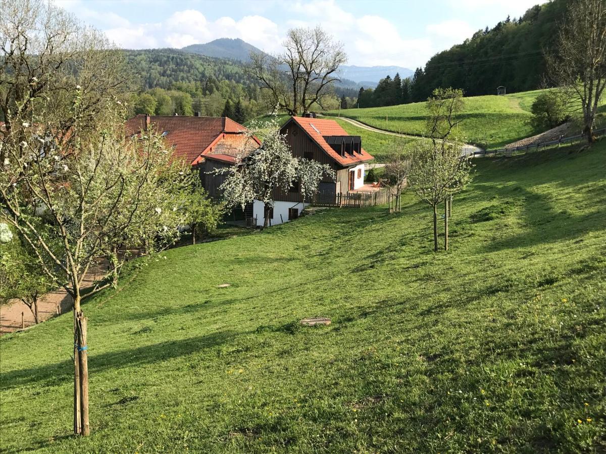 Pension Ober Siegsdorf Exteriér fotografie
