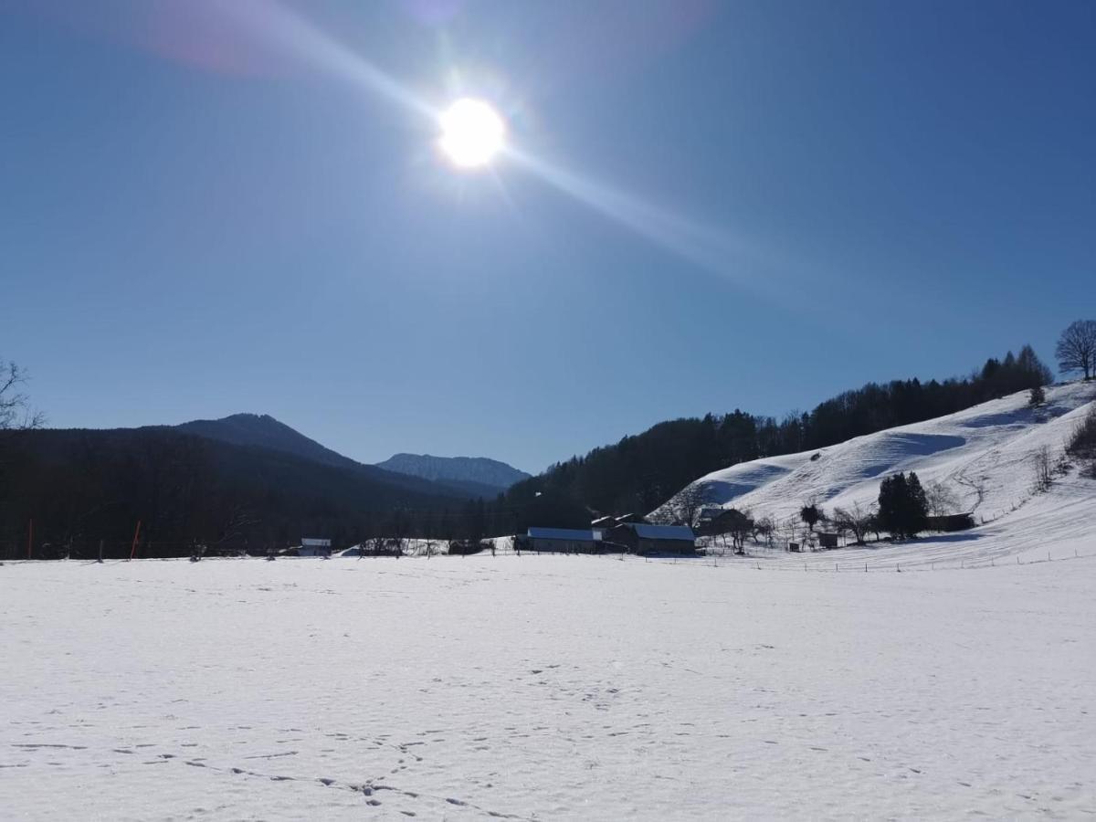 Pension Ober Siegsdorf Exteriér fotografie