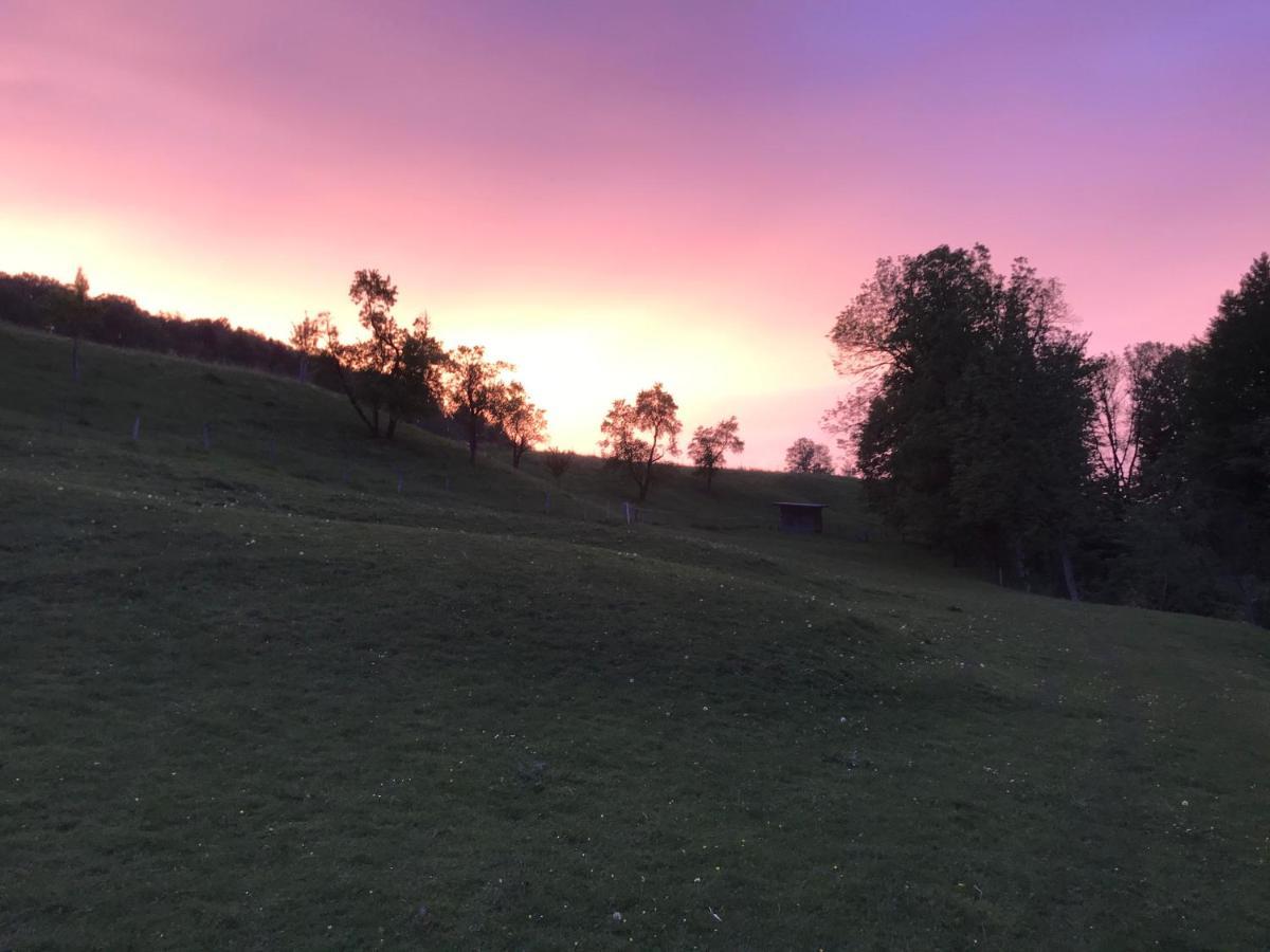 Pension Ober Siegsdorf Exteriér fotografie