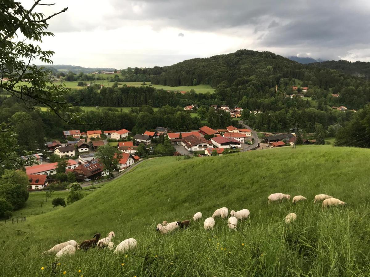 Pension Ober Siegsdorf Exteriér fotografie