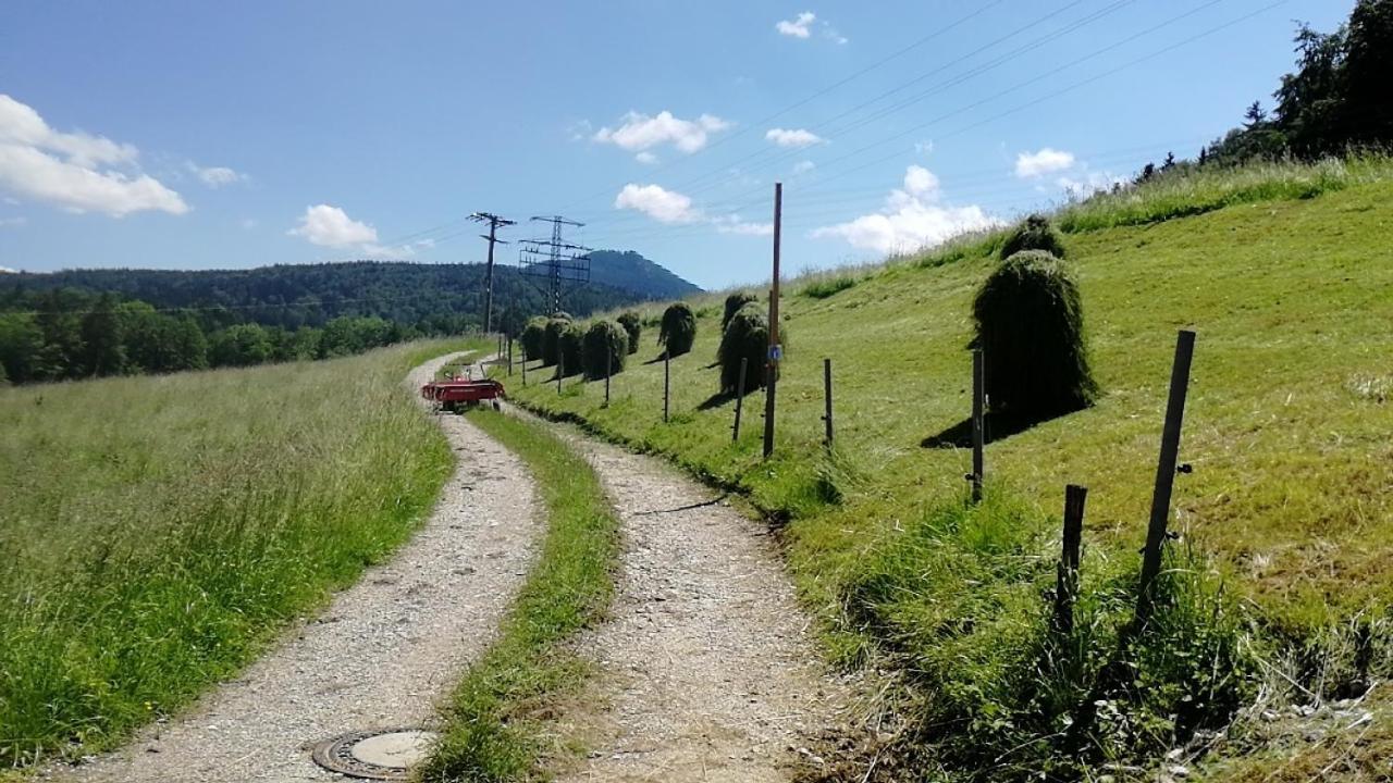 Pension Ober Siegsdorf Exteriér fotografie