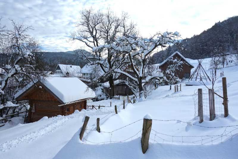 Pension Ober Siegsdorf Exteriér fotografie